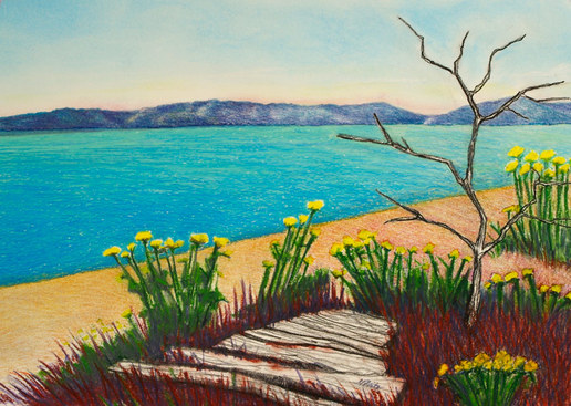 Pastel Landscape Artwork Seaside Island Beach with Flowers Vashon Island Washington Michele Fritz